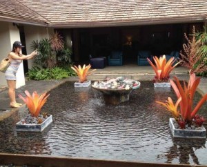 a group of orange flowers