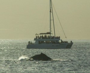 a large ship in a body of water