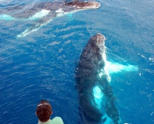 a person swimming in a pool of water